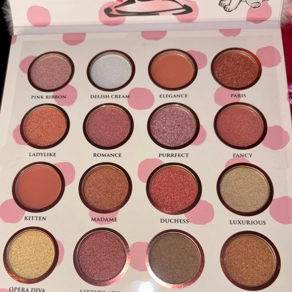 ARISTOCATS MAKEUP BUNDLE